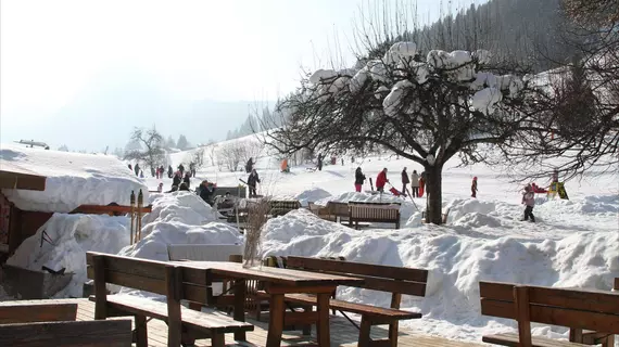 Hotel L'Aubergade | Auvergne-Rhone-Alpes - Haute-Savoie (bölge) - Morzine