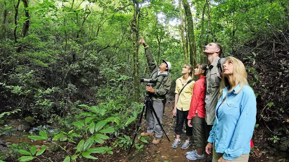 Monteverde Lodge & Gardens | Puntarenas (ili) - Monteverde