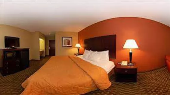 Comfort Inn Pine Bluff | Arkansas - Pine Bluff (ve civarı) - Pine Bluff