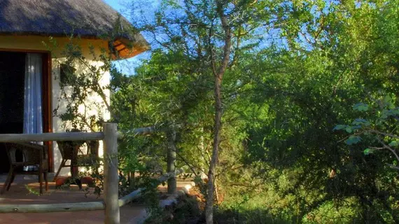 Mbizi Bush Lodge | Limpopo - Greater Giyani - Phalaborwa