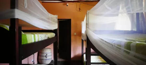 Diani Backpackers Adults Only | Kwale İlçesi - Mombasa (ve civarı) - Diani Plajı