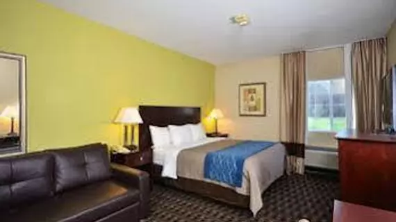 Comfort Inn Decatur | Alabama - Huntsville (ve civarı) - Decatur - Priceville