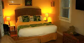 Andrews Inn & Garden Cottages | Florida - Key West - Key West Tarihi Bölgesi