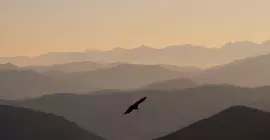 Les Collines Iduki | Nouvelle-Aquitaine - Pyrenees-Atlantiques - La Bastide-Clairence