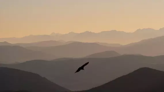 Les Collines Iduki | Nouvelle-Aquitaine - Pyrenees-Atlantiques - La Bastide-Clairence