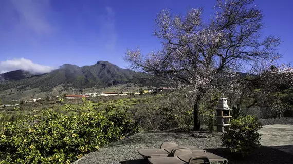 Los Guanches Bungalows | Kanarya Adaları - La Palma - Los Llanos de Aridane - Tajuya