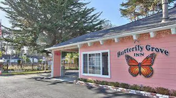 Butterfly Grove Inn | Kaliforniya - Monterey (ve civarı) - Pacific Grove