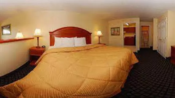 Comfort Inn Sun City Center | Florida - Tampa (ve civarı) - Sun City Center