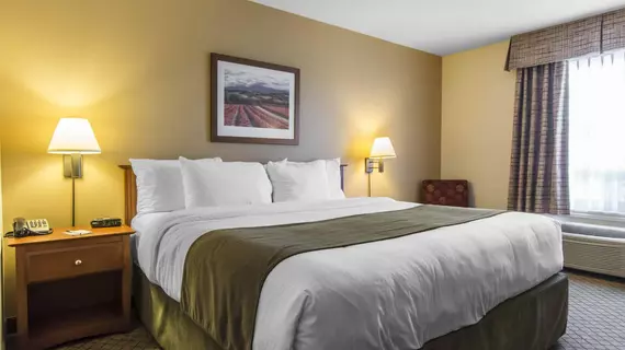 Quality Inn Airport | New Brunswick - Moncton (ve civarı) - Dieppe