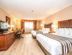 Best Western Plus Ottawa City Centre | Ontario - Ottawa (ve civarı) - Ottawa