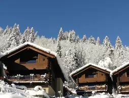 Les Granges d'en Haut | Auvergne-Rhone-Alpes - Haute-Savoie (bölge) - Les Houches