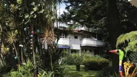 Hotel Ave del Paraíso | Alajuela (ili) - San Jose (ve civarı) - San Pedro