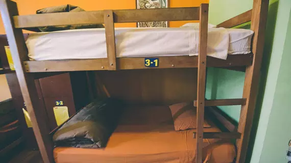 Bunkie Hostel | La Paz - La Paz (ve civarı) - La Paz