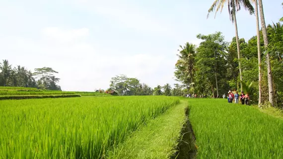 BeingSattvaa Retreat Villa | Bali - Ubud - Petulu