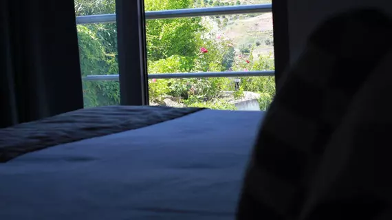 Hotel Folgosa Douro | Centro - Viseu Bölgesi - Armamar