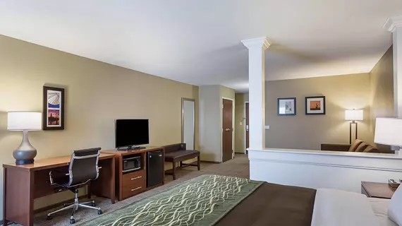 Comfort Inn and Suites Zachary | Louisiana - Baton Rouge (ve civarı) - Zachary