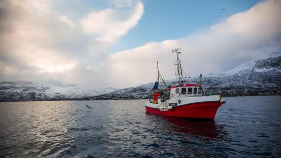 Arctic Panorama Lodge | Troms (kontluk) - Skjervoy