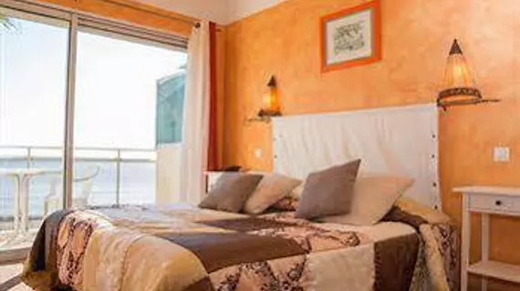 Hotel La Potiniere | Provence - Alpes - Cote d'Azur - Var - Toulon - Hyeres (ve civarı) - Hyeres