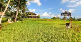 Mathis Retreat | Bali - Ubud - Kedewatan