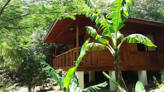 Rancho de Lelo Ecolodge and Sustainable Farm | Puntarenas (ili) - Monteverde