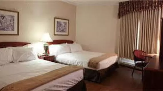 Continental Inn & Suites | Alberta - Edmonton (ve civarı) - Edmonton - West Edmonton