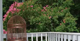 The Gables Inn Bed and Breakfast | Arkansas - Hot Springs (ve civarı) - Hot Springs