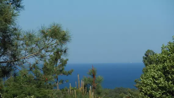 Casal do Frade | Alentejo - Setubal (bölge) - Sesimbra