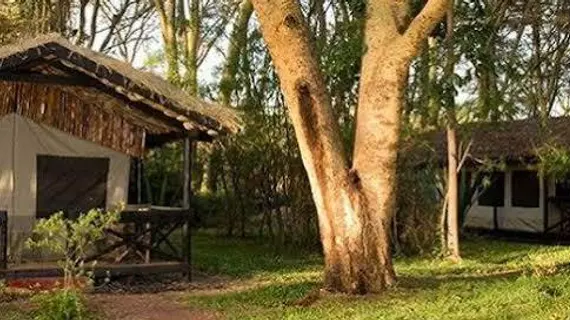 Migunga Tented Camp | Arusha Bölgesi - Manyara Gölü Ulusal Parkı