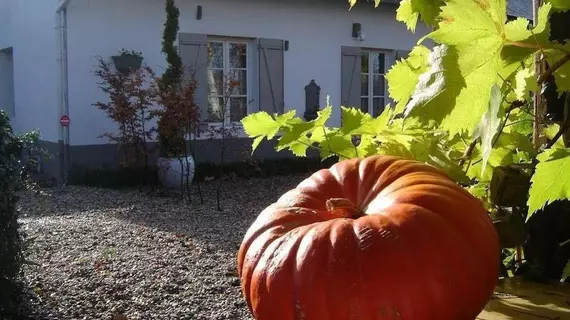 Gite Cottage d'Hamicourt aux Portes de la Baie de Somme | Hauts-de-France - Somme (bölge) - Tours-en-Vimeu