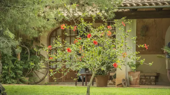 Son Mercadal | Balearic Adaları - Mayorka Adası - Pla de Mallorca