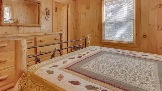 Cherokee Point Cabin | Georgia - Blue Ridge (ve civarı) - Ellijay