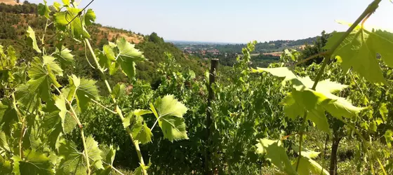 Agriturismo Ben Ti Voglio | Emilia-Romagna - Bolonya (vilayet) - Bologna - Santo Stefano