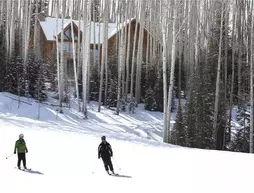 Snowdrift Cabin By Telluride Resort Lodging | Kolorado - Ouray County - Telluride (ve civarı) - Telluride