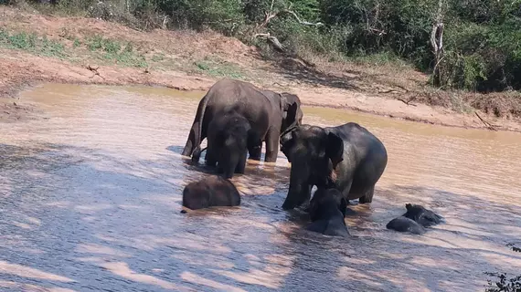 Heina Nature Resort & Yala Safari | Monaragala Bölgesi - Kataragama