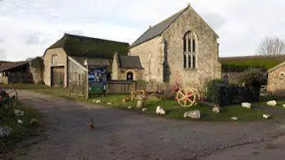 Exmoor Owl & Hawk Centre | Somerset - Minehead - Allerford