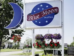 Blue Moon Motel | Ontario - Niagara Regional Belediyesi - Niagara Şelalesi (ve civarı), Kanada - Niagara Şelalesi