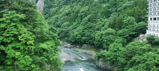 Hotel New Ohruri | Toçigi (idari bölge) - Nikko