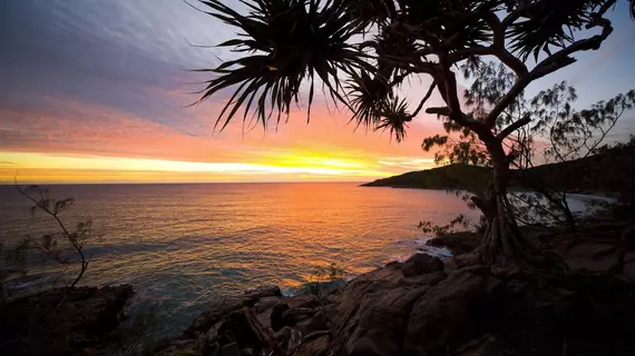 Noosa Caravan Park | Queensland - Noosa - Tewantin