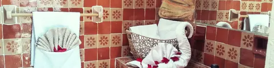 Casa Mexicana San Miguel Boutique B and B | Guanajuato - San Miguel de Allende