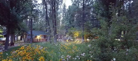 Elk Cottage at Grey Squirrel Resort | Kaliforniya - San Bernardino County - Big Bear Gölü (ve civarı) - Big Bear Lake