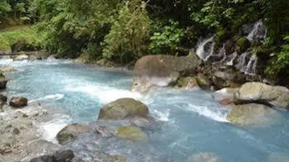 Blue River Resort & Hot Springs | Alajuela (ili) - Guayabo