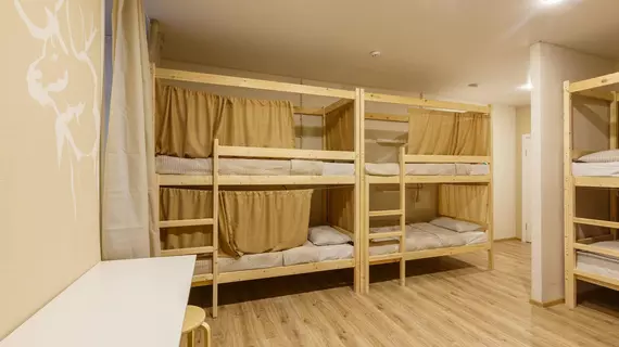 Nice Hostel Paveletskaya | Moskova (ve civarı) - Moskova Kent Merkezi