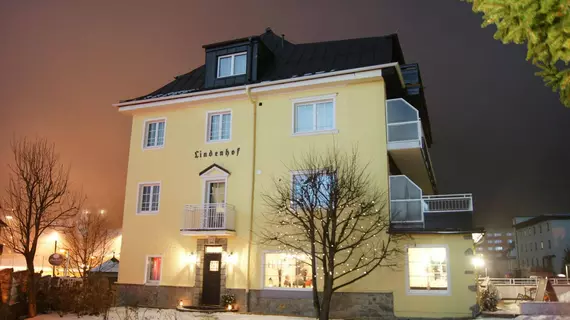 Hotel Lindenhof | Salzburg (eyalet) - Sankt Johann im Pongau - Bad Gastein