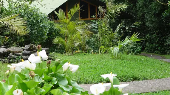 Cloud Forest Lodge | Puntarenas (ili) - Monteverde