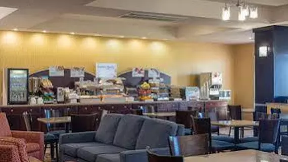 Holiday Inn Express and Suites Lafayette East | Indiana - Lafayette (ve civarı) - Lafayette