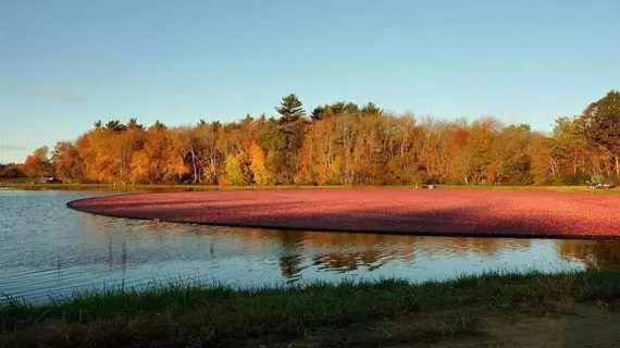 On Cranberry Pond Bed and Breakfast | Massachusetts - Middleboro