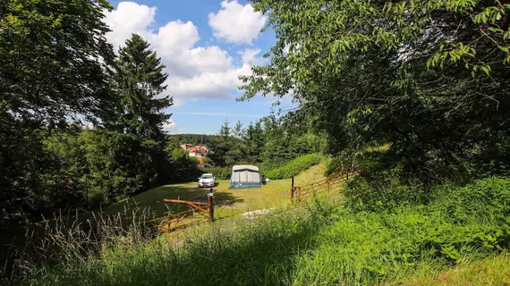 Hotel Restaurant Druidenstein | Saxony (Saksonya)-Anhalt - Oberharz am Brocken