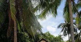 Sea Love Bungalows | Surat Thani (vilayet) - Koh Phangan