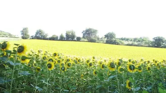 Agriturismo Relais La Scala Di Seta | Marche - Macerata (vilayet) - Potenza Picena