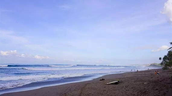 Zoe Villa | Bali - Badung - Canggu - Berawa